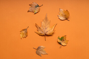 Top view of orange leaves on the brown background.Seasonal cycle.Empty space for design