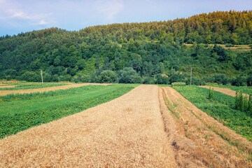 Fototapeta na wymiar View from above of countryside. View of cultivated fields and green forest on the hills in summer