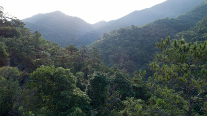 Aerial  view of beautiful landscape of sunrise over summer mountains