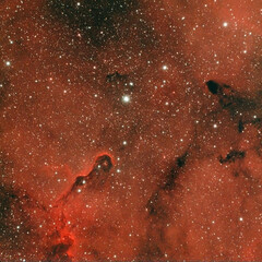 The dark interstellar gas and dust nebula Elephant's Trunk Nebula