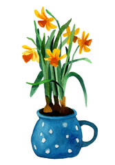 Watercolor hand drawn home plant in pot. Narcissus with yellow flower in blue vase isolated on white background. Design for postcards, decor, covers, stickers, season offers.