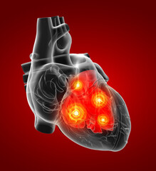 3d render Heart atrium - front view