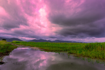 A pink sunset and a stormy sky reflected in a flooded dirt road in an agricultural field in...