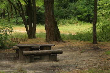 Wooden bench and table in the forest