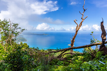 Landscape of Mahe Island, Seychelles seen from Morne Blanc View Point with lush tropical vegetation and crystal blue ocean.