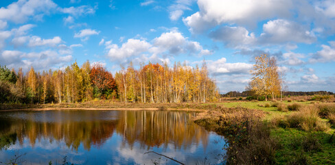 View of Meeuwenplas in nature reserve Takkenhoogte, Zuidwolde, Drenthe, Netherlands