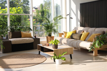 Indoor terrace interior with modern furniture and houseplants