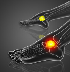 3d render illustration of the talus bone