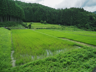 奈良県 宇陀市 田園風景