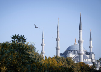 istanbul turkey 12 august, blue mosque, sultan ahmet mosque, historical monuments of istanbul