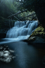 waterfall in the forest