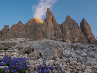 Massive Berggipfel mit wilden Blumen bei Sonnenaufgang