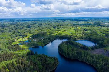 Obraz premium forest lake