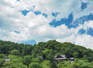 Fototapeta premium 奈良県 長谷寺
