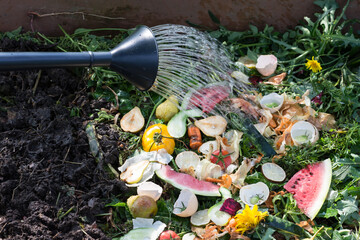 Worker watering compost box outdoors full with garden browns and greens and food  wastes,...