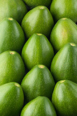 avocados, also known as alligator pear or butter fruit, stacked fresh fruits closeup view