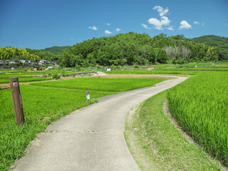 Fototapeta na wymiar 奈良県 奈良市 山の辺の道