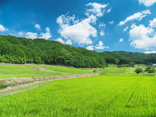 Fototapeta na wymiar 奈良県 奈良市 田園風景