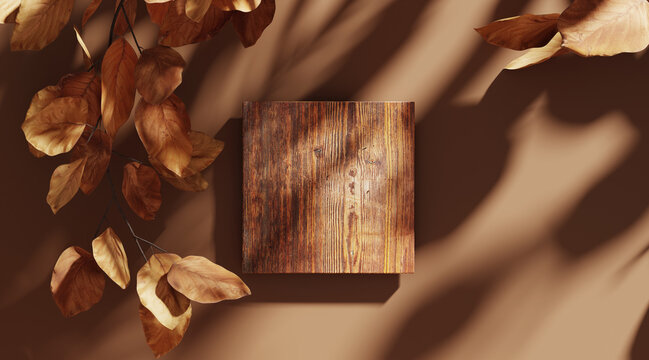 3D background, wood display flat lay podium on natural brown backdrop and dry leaf shadow. Product promotion beauty cosmetic autumn showcase. Studio wooden platform with copy space 3D render.
