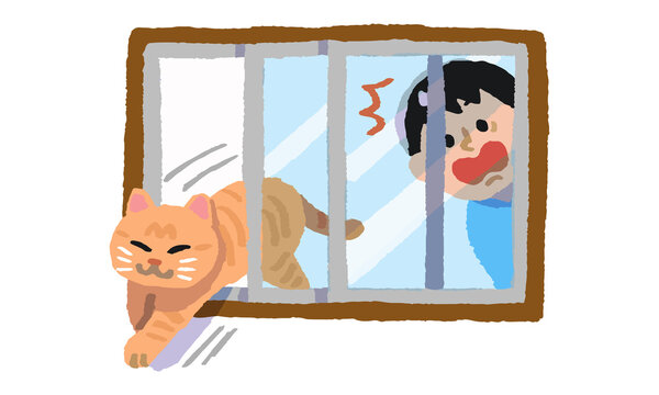 窓の隙間から逃げ出す猫と驚く男性