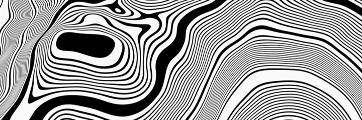 3D topographic contour. Black and white terrain.