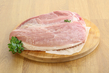 Piece of the raw pork meat