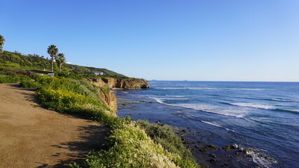 view of the beach