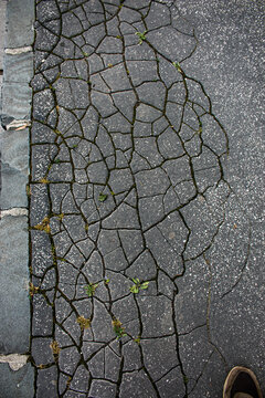 Old cracked asphalt surface. Background or texture.