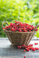 Ripe red currant berries in a bowl  on a rustic wooden background