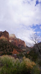 zion national park
