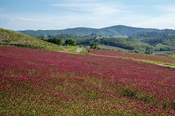I colori della natura