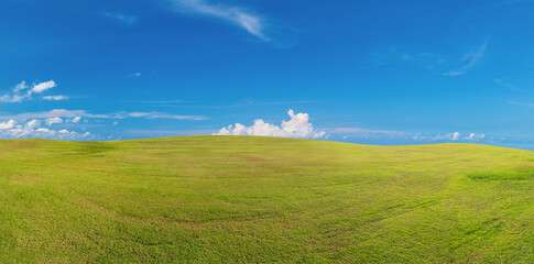 Panoramic green grass on golf field