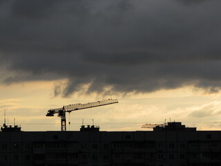 cranes at sunset
