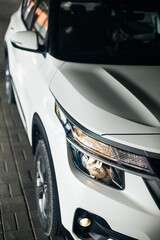 Obraz na płótnie Canvas Car's exterior details. shiny headlights on a car