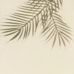 Blurred silhouette and shadow of palm branches from sunlight and beige copy space.