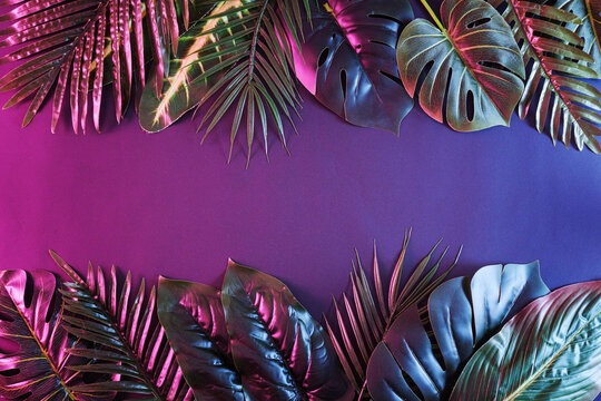 Two rows of leaves and tropical palms as a border in a dramatic contemporary style. Neon moody jungle. © sergign
