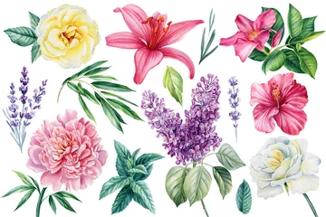 Fotobehang Tropische Bladeren Set van bloemen op geïsoleerde witte achtergrond, aquarel bloemenontwerpelementen  © Hanna