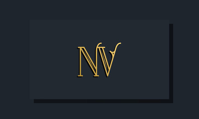 Minimal Inline style Initial NV logo.