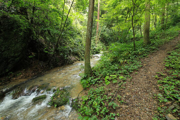 愛媛県内子町　紅葉ヶ滝への道の風景