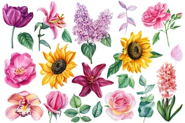 Fotobehang Set of bright flowers on an isolated white background, botanical elements for design, watercolor painting © Hanna