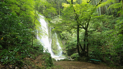 Fototapeta na wymiar 愛媛県内子町　紅葉ヶ滝の風景