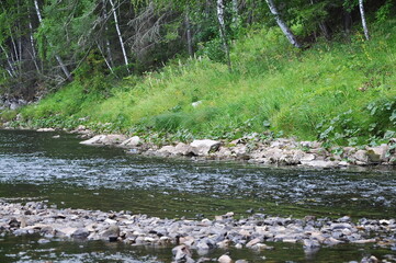 The river flows among the rocks and the forest shore.