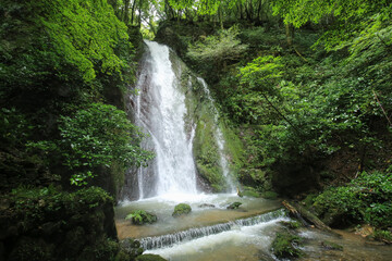 Fototapeta na wymiar 愛媛県内子町　紅葉ヶ滝の風景