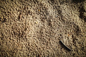 abstract sand background Texture beach