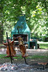asado 