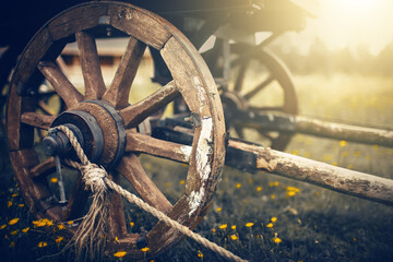 The wooden wheels of a cart standing in the grass.
