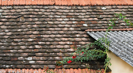 Old rooftop with red bullnose roof tiles