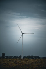 wind turbine in the field