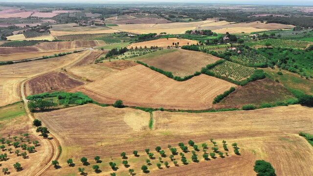 Tuscany countryside shot with drone at summer time. Aerial view of amazing country in sunny weather, arid fields,green trees,olive trees 
