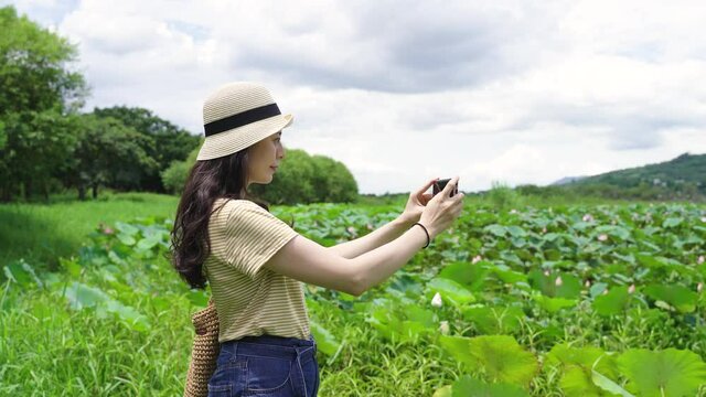 pretty asian backpacker holding a smartphone is looking at the lotus field with a smile and capturing the wonderful scenery on clear day in summer at dapo lake